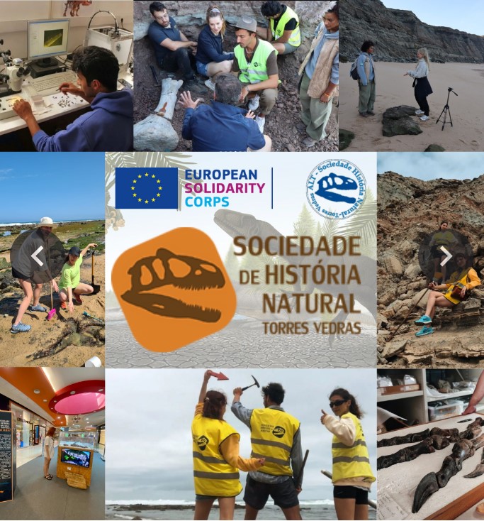 SHN Volunteer Activities